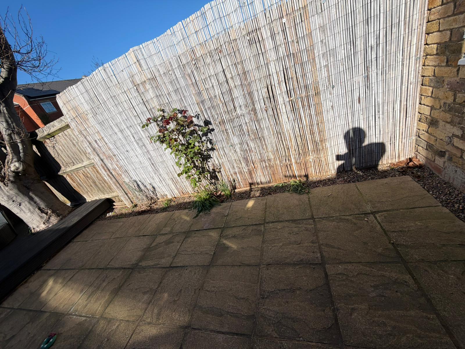Battersea garden before transformation showing old slabs and bamboo screen