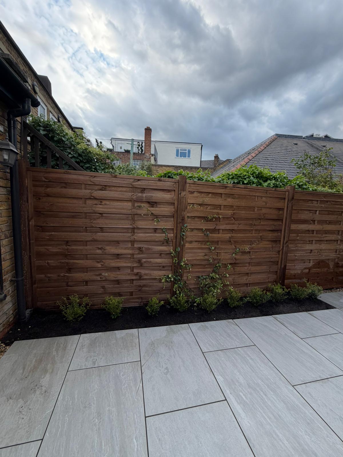 Completed horizontal fencing with ilex crenata hedge border Battersea SW11