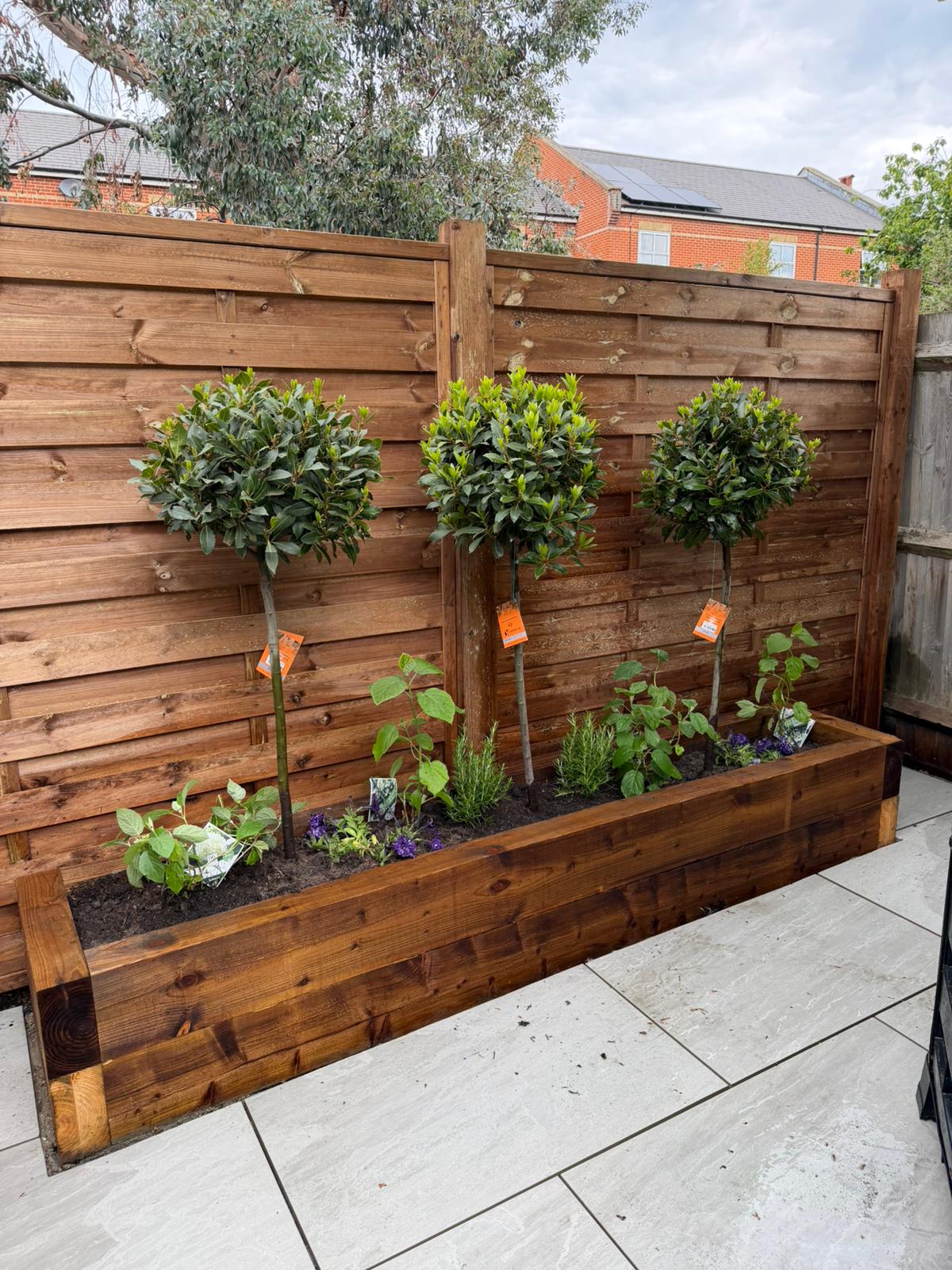 Raised timber sleeper bed with bay trees and planting scheme Battersea