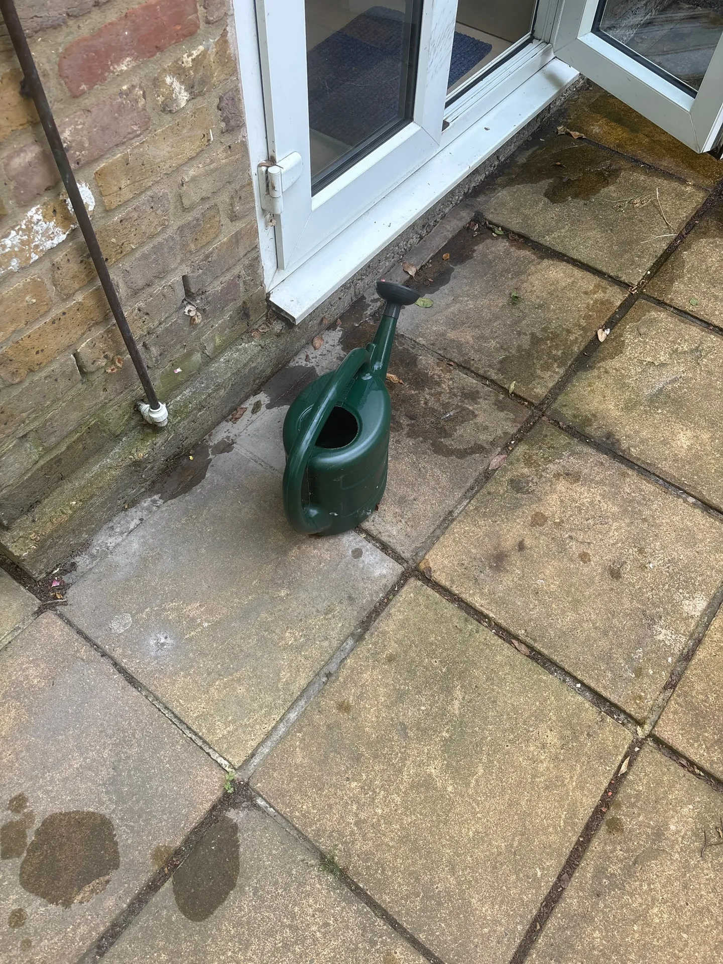 Moss and algae covered patio slabs by the back door before Karcher K4 pressure washing in Woodford, IG8 9JN