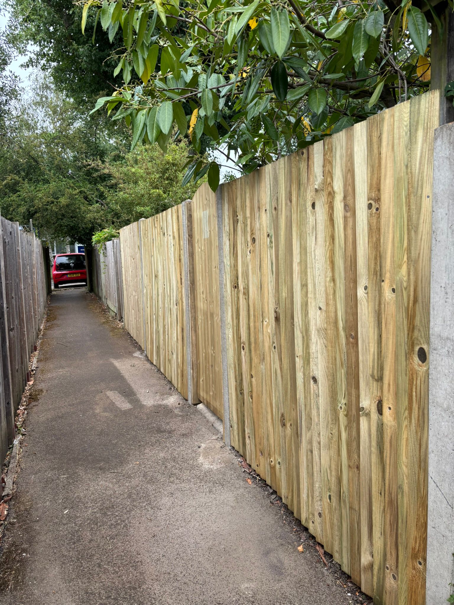 Cedar Slatted Fencing