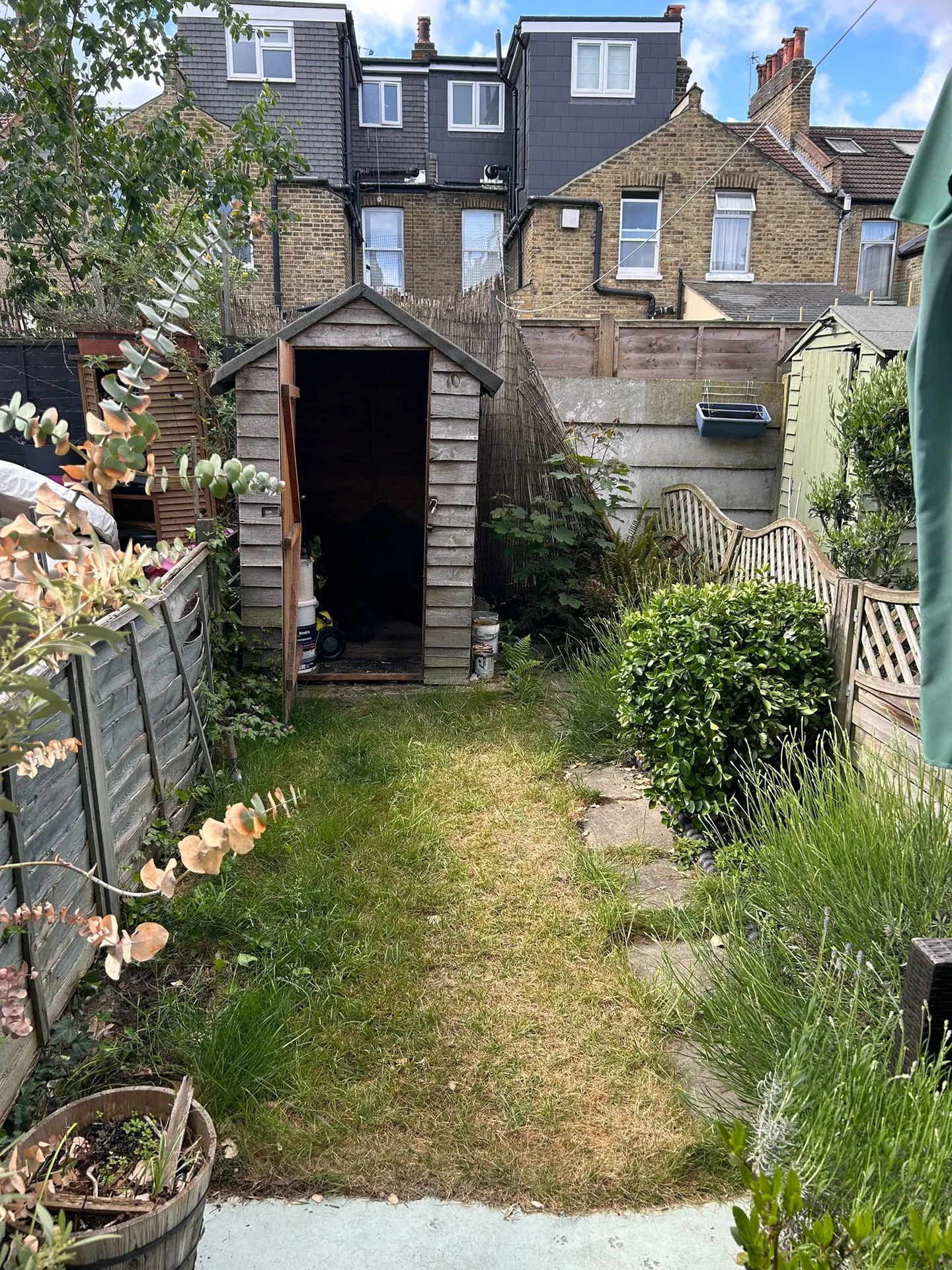 Overgrown garden before landscaping — Project 17