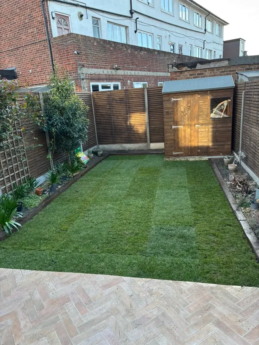 Luxury lawn transformation